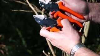 Original LÖWE Anvil Pruners — 5104 and 5124 — Big Bear Tools