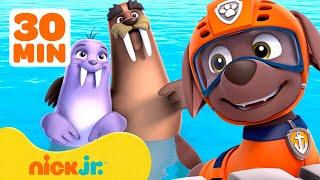 PAW Patrol Wally & Walindas Best Water Moments w Zuma  30 Minute Compilation  Nick Jr.