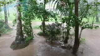 കേരളത്തിലെ മഴക്കാല കാഴ്ചകൾ ... Kerala Heavy Rain in my Village