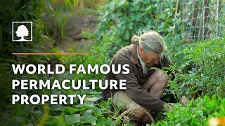 World Famous Permaculture Property Tour – David Holmgren and Su Dennetts Melliodora