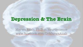 The Depressed Brain & Treatment