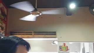 Noisy KDK K15W0 ceiling fan