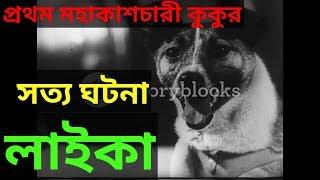 লাইকার মর্মান্তিক কাহিনী The sad story of laika in bangla A true story of space dog laika