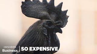 Why Ayam Cemani Chickens Are So Expensive  So Expensive  Insider Business