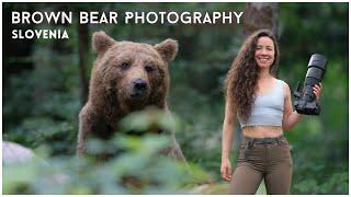 Fujifilm GF 500mm f5.6 + GFX 100s II Wildlife Photography - Brown Bears Slovenia