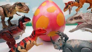Dinosaurs In Giant Dinosaur Egg Lets Break The Dinosaur Egg