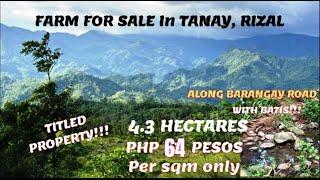 PROPERTY#74 PHP 64 PER SQM ONLY - TANAY RIZAL WITH BATIS - TITLED  Full video @ PROPERTY #74