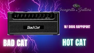 BAD CAT HOT CAT 45W All-Tube Guitar Amp w Doug Rappoport