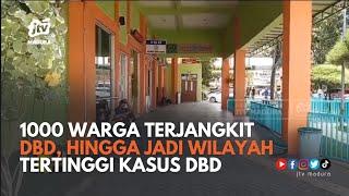 3 Bulan Hampir 1000 Warga Terjangkit DBD