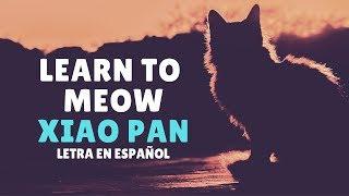 learn to meow 学猫叫 xiao pan pan & xiao feng feng Sub EspañolPinyinChinoTIK TOK