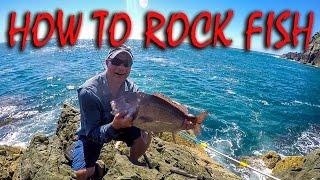 HOW TO STRAY LINE ROCK FISHING FOR SNAPPER KAHAWAI & TREVALLY IN NZ