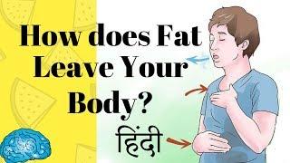 Hindi - How does Fat leave the body? Myth Busted  SmartnSuper