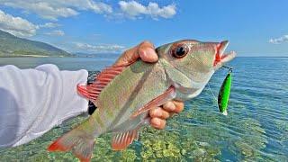 Mancing casting ngoyor di Pinggiran Karang dangkal  Serasa mancing di Pantai Papua