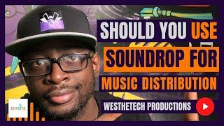 SHOULD I USE SOUNDROP FOR MUSIC DISTRIBUTION  MUSIC INDUSTRY TIPS