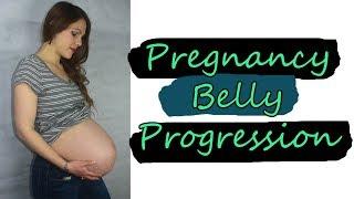 Pregnant Belly Progression