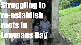 Struggling to re-establish roots in Lowmans Bay