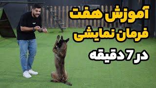 آموزش 7 فرمان نمایشی به سگ در 7 دقیقه