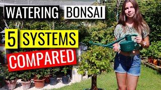 Watering Bonsai    How to water your bonsai trees    part 1