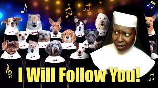 I Will Follow You - Sister Act Parody Song for Dogs Featuring the Canine Choir