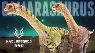 Haolonggood Camarasaurus Review Both versions