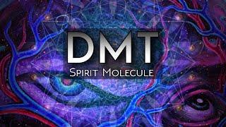 DMT & the Nature of Reality Consciousness Spirit Realms Multiverse Theory
