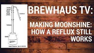 Making Moonshine How a Reflux Still Works