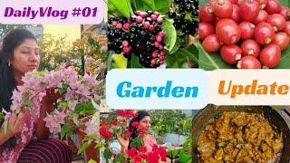 Daily Vlog #01  Kili Naaval And Cedar Bay Cherry Update  Garlic Chicken Gravy  Summer Garden