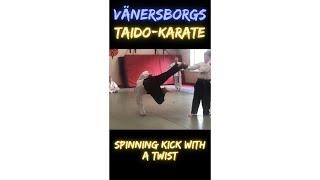 Spinning kick with a twist #taido #karate #martialarts @VanersborgsTaido-Karate