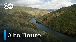 Alto Douro Die älteste Weinregion der Welt  Europa maxximal