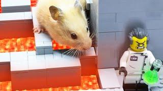 LEGO Land  Hamster Lego Obstacle Course  Giant Hamster Destroy Lego City  Lego Stop Motion