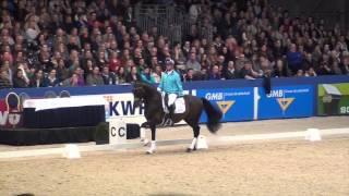 Chippendaele kwpn & CARL HESTER - Den Bos 2014 - clinic