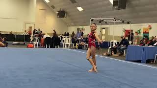 Level 5 Floor Gymnastics 2022 