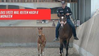 Das erste mal reiten nach 6 Monaten  wird das gut gehen ?