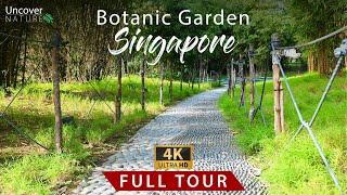 Botanic Garden  Singapore  Full Tour  4K