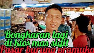 bongkaran lagi di kios Sigit pasar burung pramuka matraman