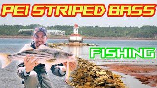 These BIG Swimbaits and PLUGS executed PEI Striped Bass Fishing