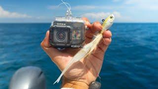 I Dropped a GoPro Down While Surrounded By Fish