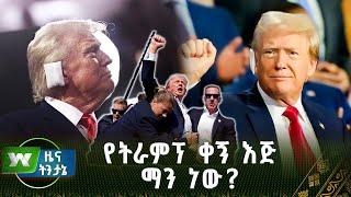 የዶናልድ ትራምፕ ቀኝ እጅ ማን ነው?  ዜና ትንታኔ