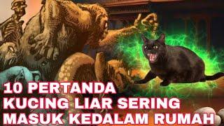 JIKA TAU INI NGGAK ADA LAGI YANG NYIKSA KUCING LIAR_10 PERTANDA RUMAH SERING DIDATANGI KUCING LIAR