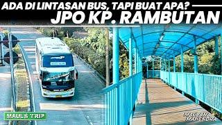 TERMINAL KAMPUNG RAMBUTAN PUNYA JEMBATAN PENYEBERANGAN TAPI BUAT APA YA?  MAULS TRIP