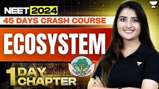 1 Day 1 Chapter Ecosystem in One Shot  45 Days Course  NEET 2024  Seep Pahuja