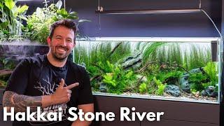 Hakkai Stone River Aquarium nach 6 Monaten