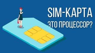 Знаете ли вы как устроена SIM-карта и как она работает?