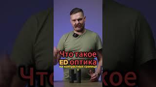 Как работает ED оптика? #бинокли #охота #shorts