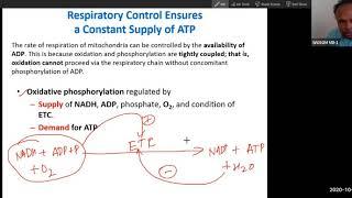 Regulation of Electron transport chain USMLE Step 1