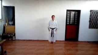 Kata Saifa Shito Ryu