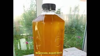 How to check the purity of honey  Cum testam puritatea mierii