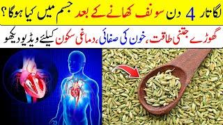 Benefits Of Eating Fennel Seeds Regular 4 Days  Sonf Ke Fawaid  Saunf Ke Fayde