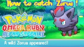 How to Get Zorua Pokemon Omega Ruby and Alpha Sapphire ORAS