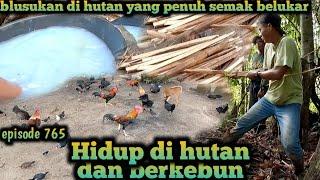 blusukan di dalam hutan penuh semak belukar warta petani muda hidup di hutan